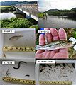 2012年10月29日 (月) 17:42時点における版のサムネイル